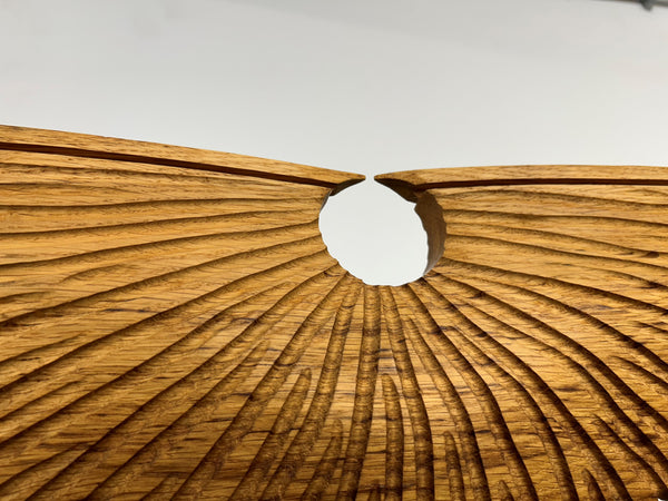 Wings sculpture