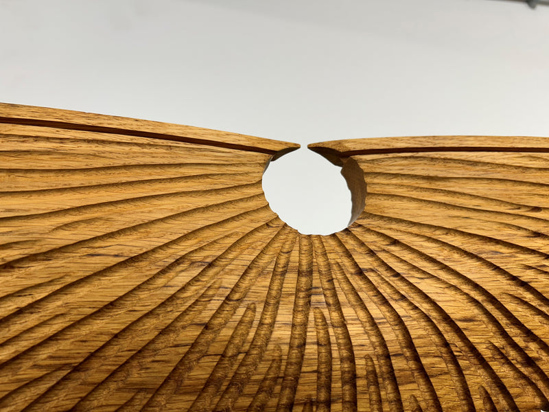 Wings sculpture