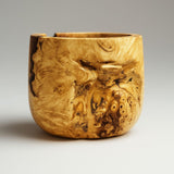 Voided burr vessel